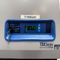 Thermo TSX3020FA -20C Freezer image 2